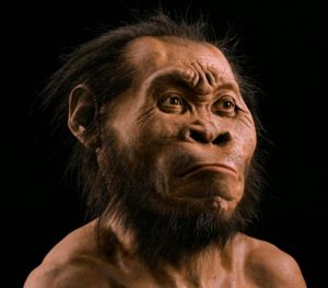 Рештки Homo naledi можуть змінити наше уявлення про еволюцію людини
