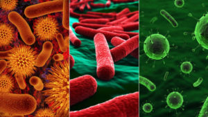 Кишкові бактерії можуть пригнічувати дію ліків