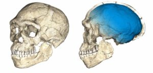 Homo Sapiens старші, ніж вважалося