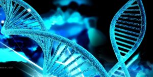 Що таке ДНК?