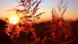 Вчені вияснили, які 3 продукти зарядять вас енергією на весь день