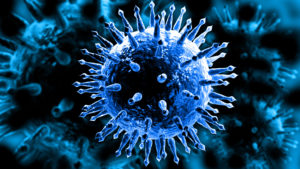 Неклітинні форми життя (віруси, віроїди, вірусоїди, плазміди, транспозони та пріони)